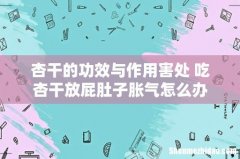 杏干的功效与作用害处 吃杏干放屁肚子胀气怎么办