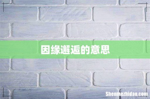 因缘邂逅的意思