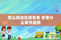 怎么挑选优质冬枣 冬枣什么季节成熟
