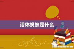 活体蚂蚁是什么