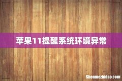 苹果11提醒系统环境异常