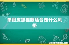 单眼皮狐狸眼适合走什么风格