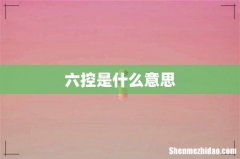 六控是什么意思