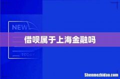 借呗属于上海金融吗