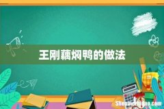王刚藕焖鸭的做法