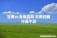 甘蔗vc含量高吗 甘蔗的糖分高不高