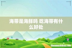 海带是海鲜吗 吃海带有什么好处