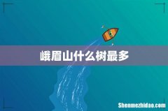 峨眉山什么树最多