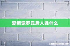 爱新觉罗氏后人姓什么