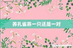 养孔雀养一只还是一对