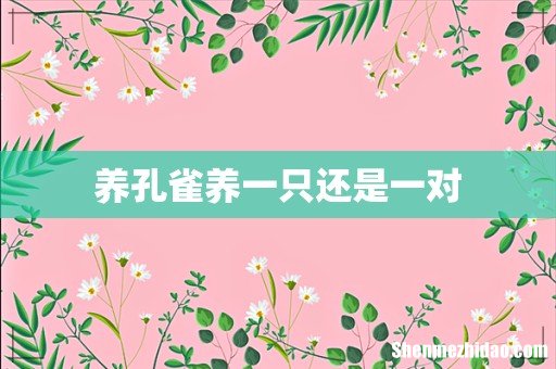 养孔雀养一只还是一对