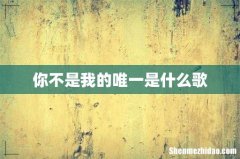 你不是我的唯一是什么歌