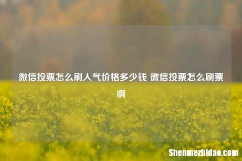 微信投票怎么刷人气价格多少钱 微信投票怎么刷票啊