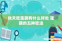 秋天吃莲藕有什么好处 莲藕的五种吃法