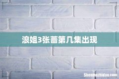 浪姐3张蔷第几集出现