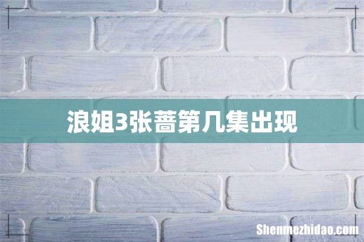 浪姐3张蔷第几集出现