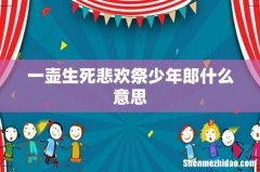 一壶生死悲欢祭少年郎什么意思