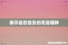 表示自恋自负的花是哪种