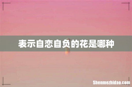 表示自恋自负的花是哪种