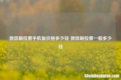微信刷投票手机版价格多少钱 微信刷投票一般多少钱