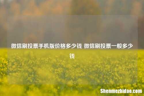微信刷投票手机版价格多少钱 微信刷投票一般多少钱
