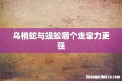 乌梢蛇与蜈蚣哪个走窜力更强