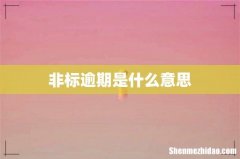 非标逾期是什么意思