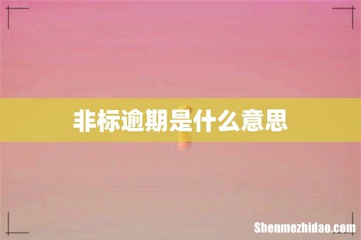 非标逾期是什么意思