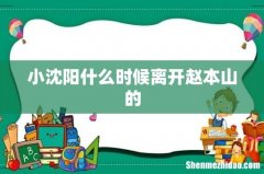 小沈阳什么时候离开赵本山的