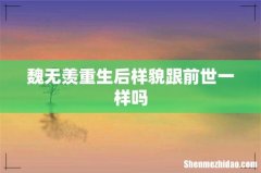 魏无羡重生后样貌跟前世一样吗