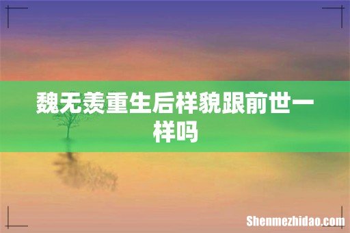 魏无羡重生后样貌跟前世一样吗