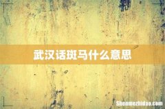 武汉话斑马什么意思