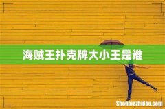 海贼王扑克牌大小王是谁