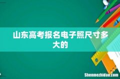 山东高考报名电子照尺寸多大的