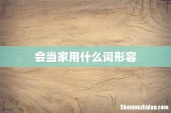 会当家用什么词形容