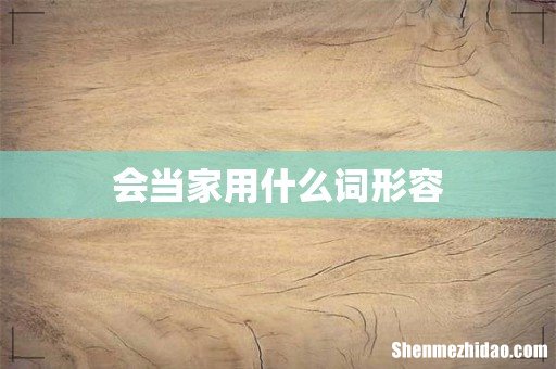 会当家用什么词形容
