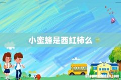 小蜜蜂是西红柿么
