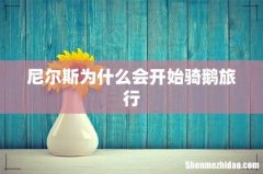 尼尔斯为什么会开始骑鹅旅行