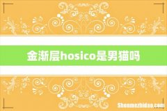 金渐层hosico是男猫吗