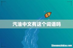 汽油中文有这个词语吗