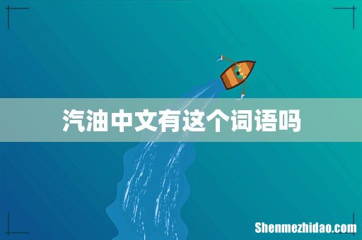 汽油中文有这个词语吗