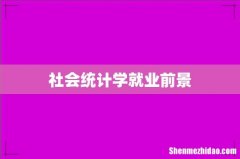 社会统计学就业前景