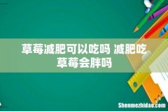 草莓减肥可以吃吗 减肥吃草莓会胖吗