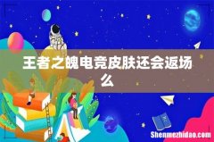 王者之魄电竞皮肤还会返场么