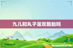 九儿和丸子是双胞胎吗
