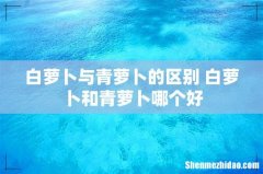 白萝卜与青萝卜的区别 白萝卜和青萝卜哪个好