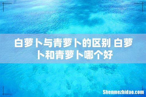 白萝卜与青萝卜的区别 白萝卜和青萝卜哪个好
