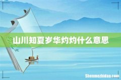 山川知夏岁华灼灼什么意思