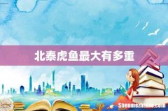 北泰虎鱼最大有多重