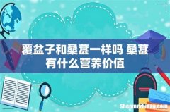 覆盆子和桑葚一样吗 桑葚有什么营养价值